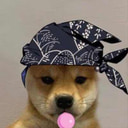 joji profile