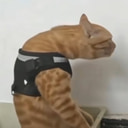 RooRoo profile